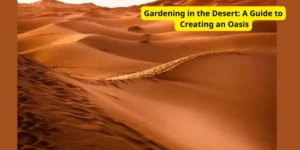 Gardening in the Desert: A Guide to Creating an Oasis