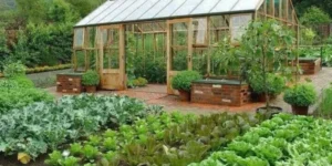 Raised Garden Bed Slope: A Comprehensive Guide