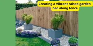 Creating a Vibrant raised garden bed along fence